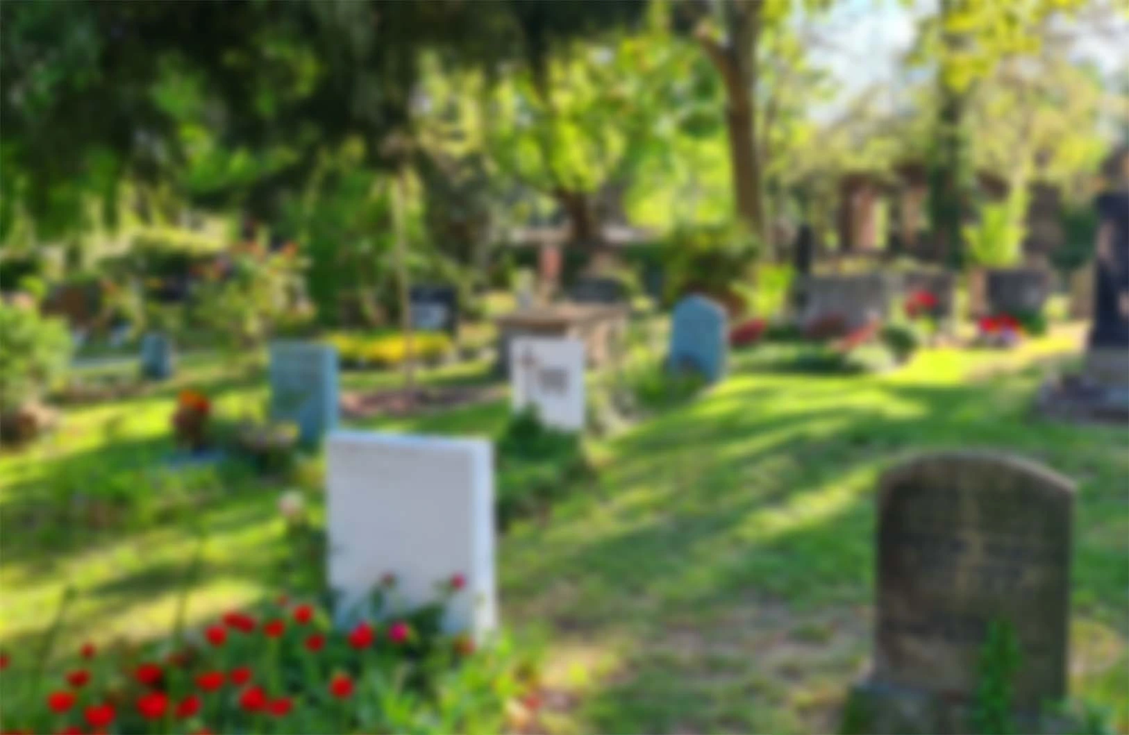 Friedhof Hintergrund für memorio Gedenkseiten.